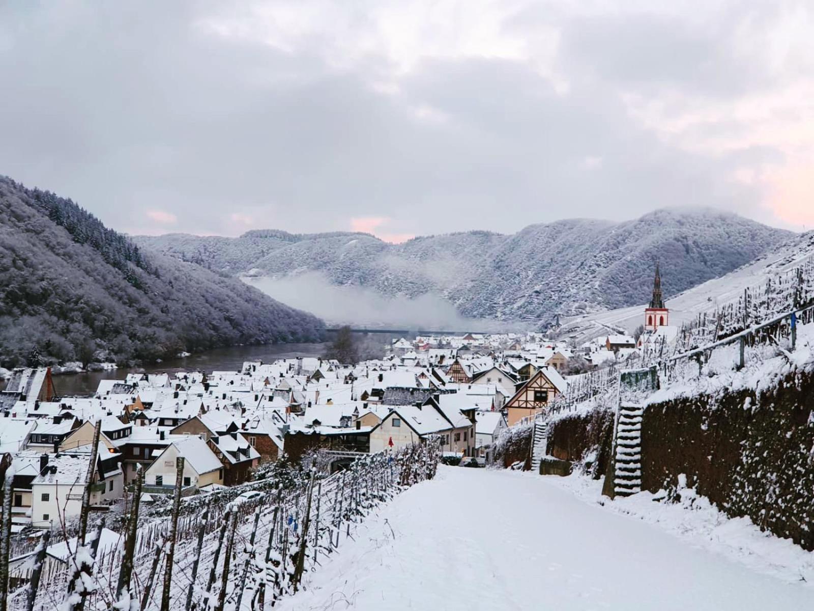 Pension Rehschopp Эдигер-Эллер Экстерьер фото